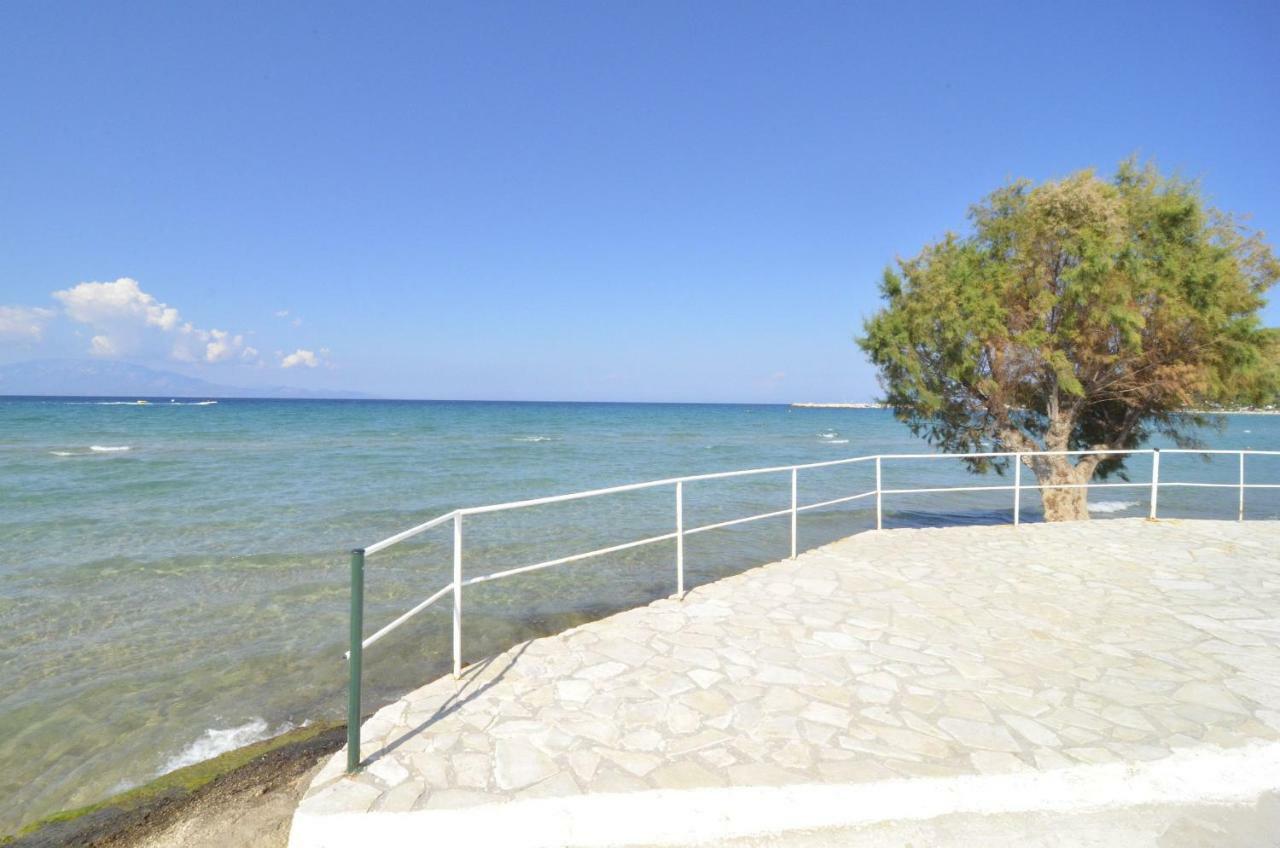 Oasis Beachfront & Apartments, By Zantewize Apartment *